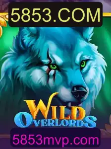 Explorando o Mundo de WildOverlordsBonusBuy